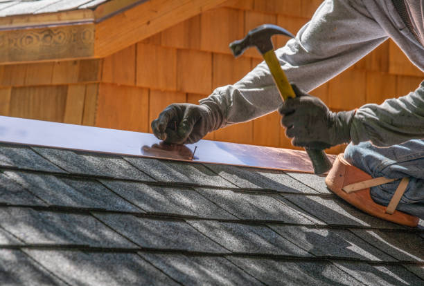 Best Sheet Metal Roofing  in Hanna City, IL