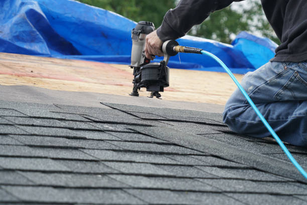 Best Metal Roofing Installation  in Hanna City, IL